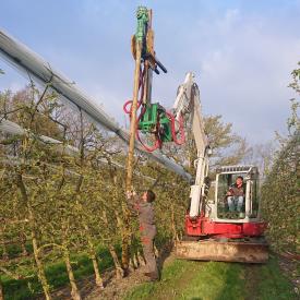 plantation dans vergers